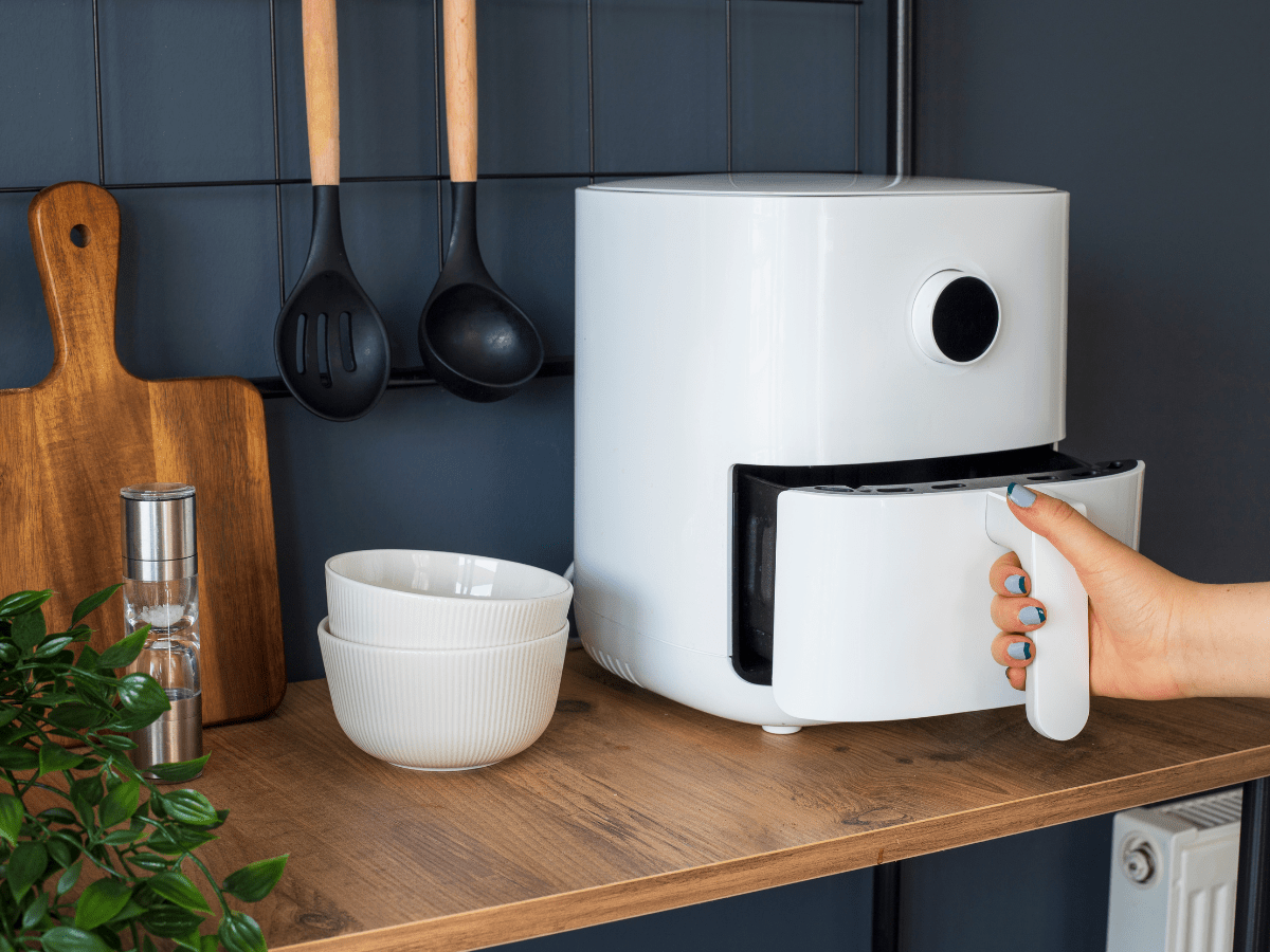 Best Air Fryer Ovens