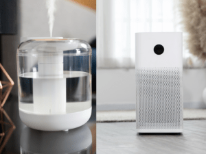 Air Purifier vs Humidifier: Which One is Best for Your Home?