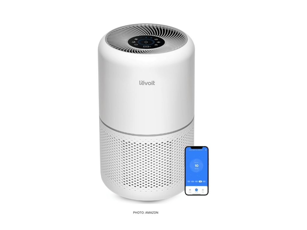 Air Purifiers for Allergies