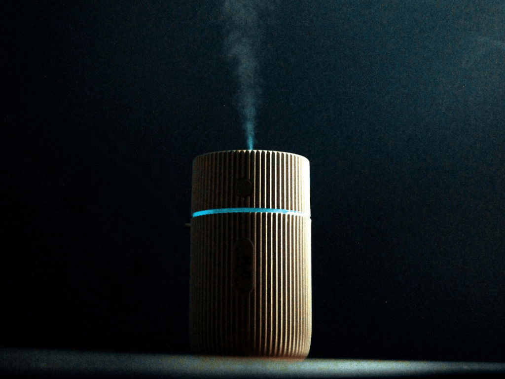 Air Purifiers for Allergies