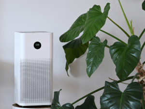 Air Purifiers for Allergies