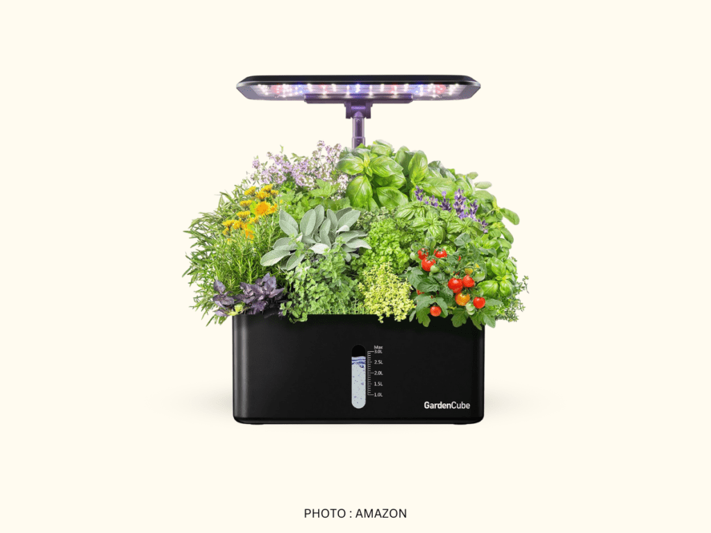 Unique Mother’s Day Gift