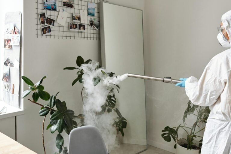 Best Commercial Steam Cleaners