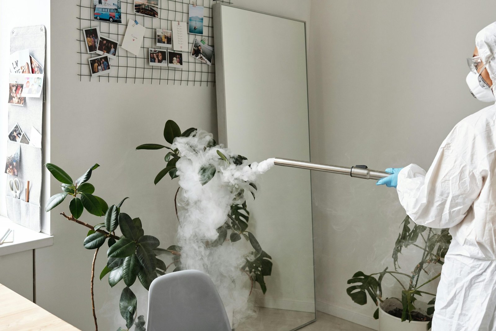Best Commercial Steam Cleaners